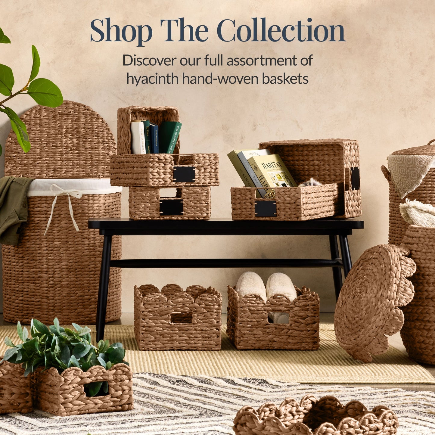 9x12 Scalloped Shelf Basket, Pantry Bins, 4 Pack