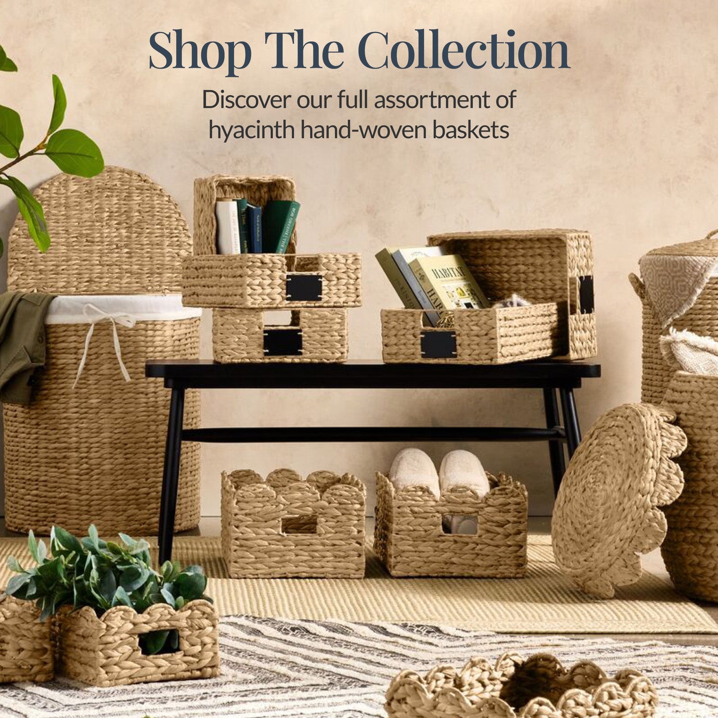 16x12 Scalloped Shelf Basket, Pantry Bins, 2 Pack