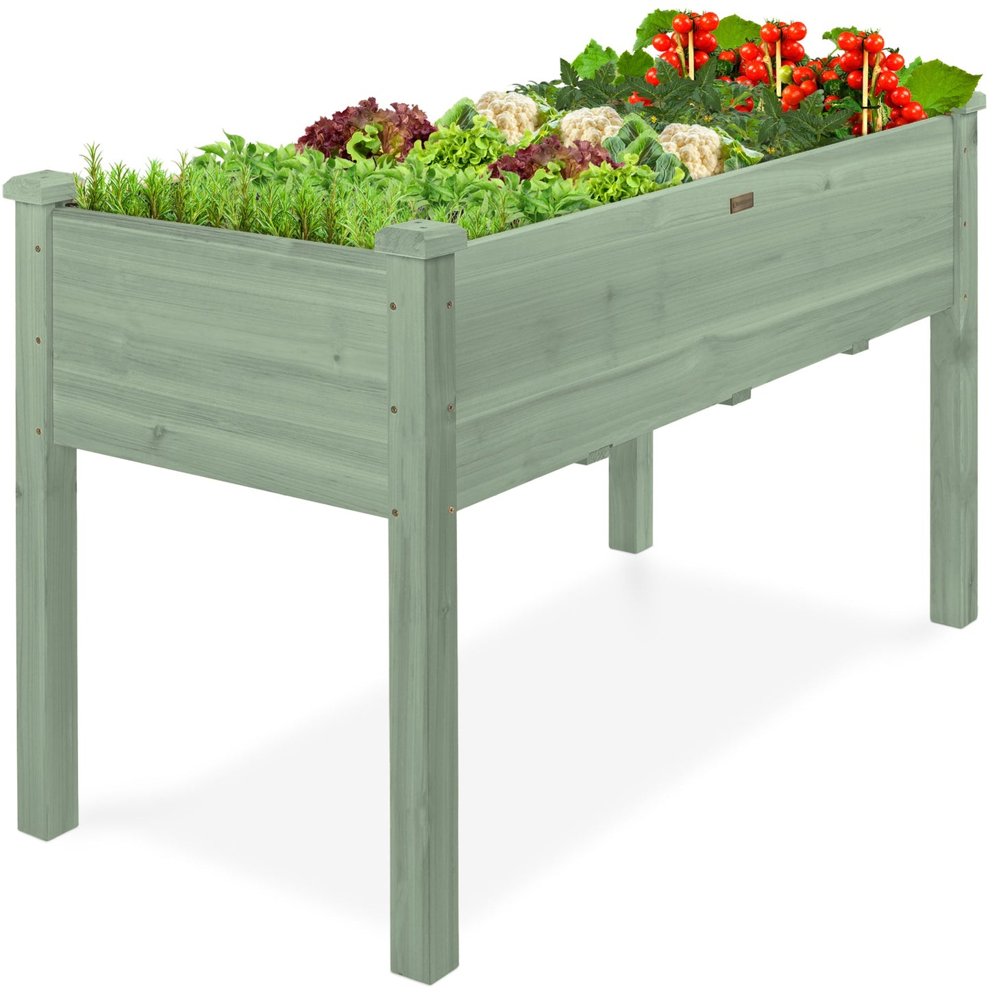 Raised Garden Bed, Elevated Wooden Planter Box w/ Foot Caps - 48x24x30in