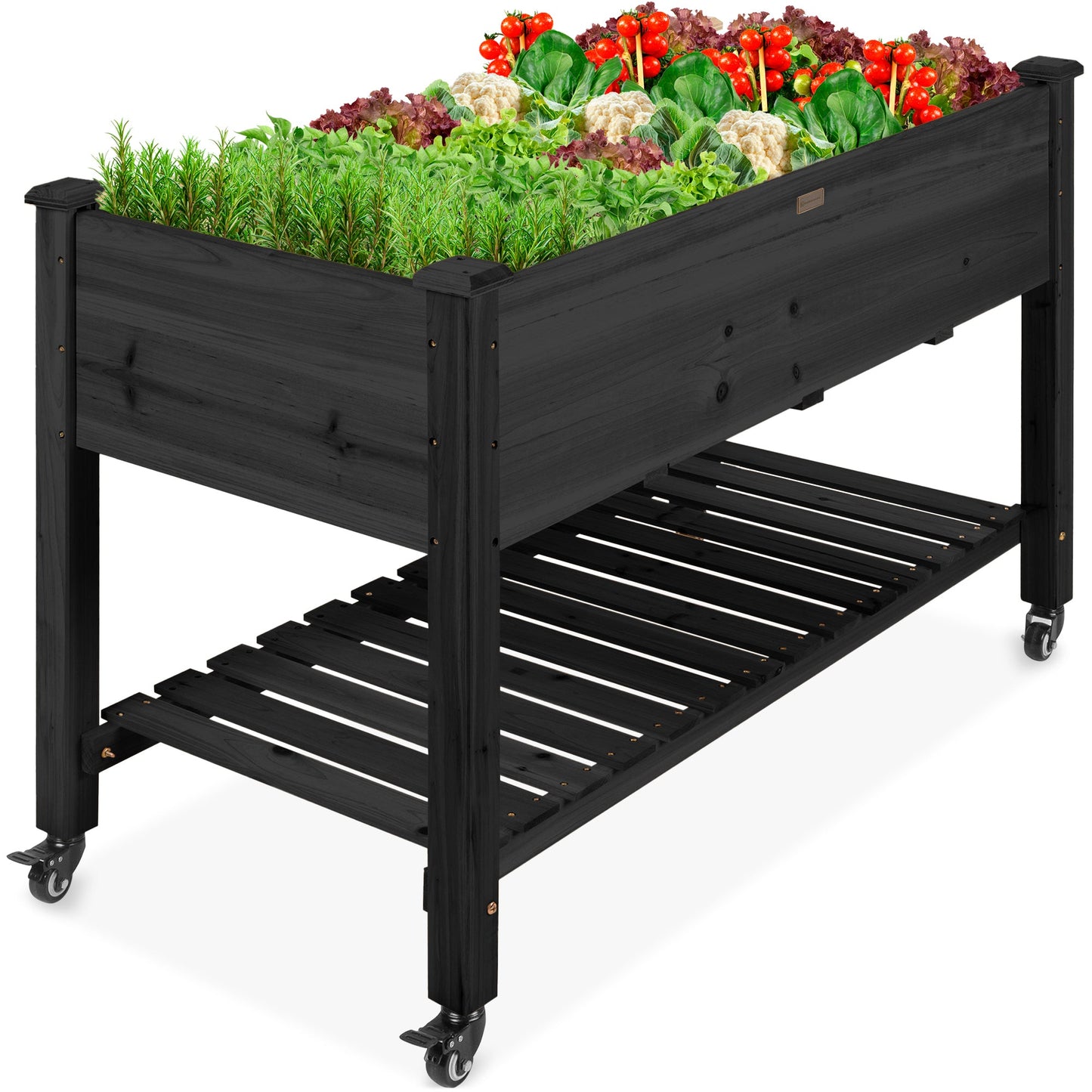 Mobile Raised Garden Bed Elevated Planter w/ Wheels, Shelf - 48x24x32in