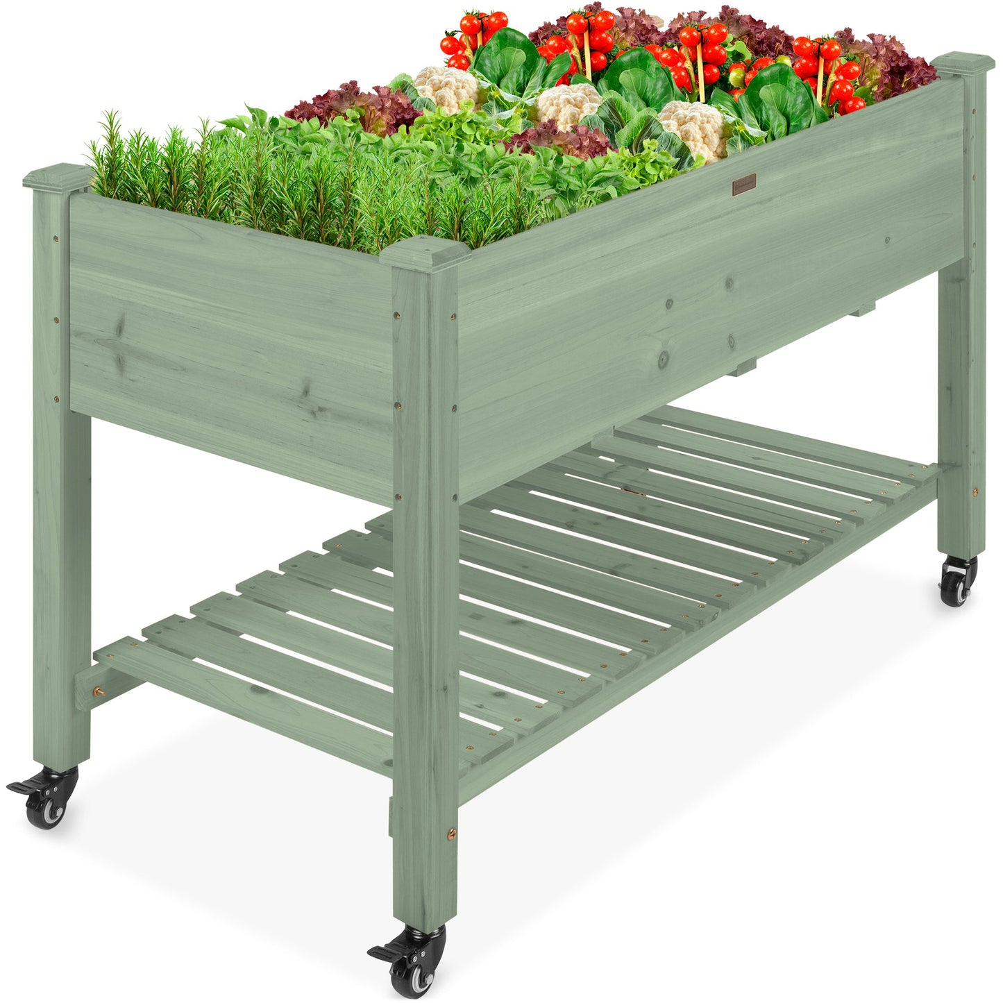 Mobile Raised Garden Bed Elevated Planter w/ Wheels, Shelf - 48x24x32in