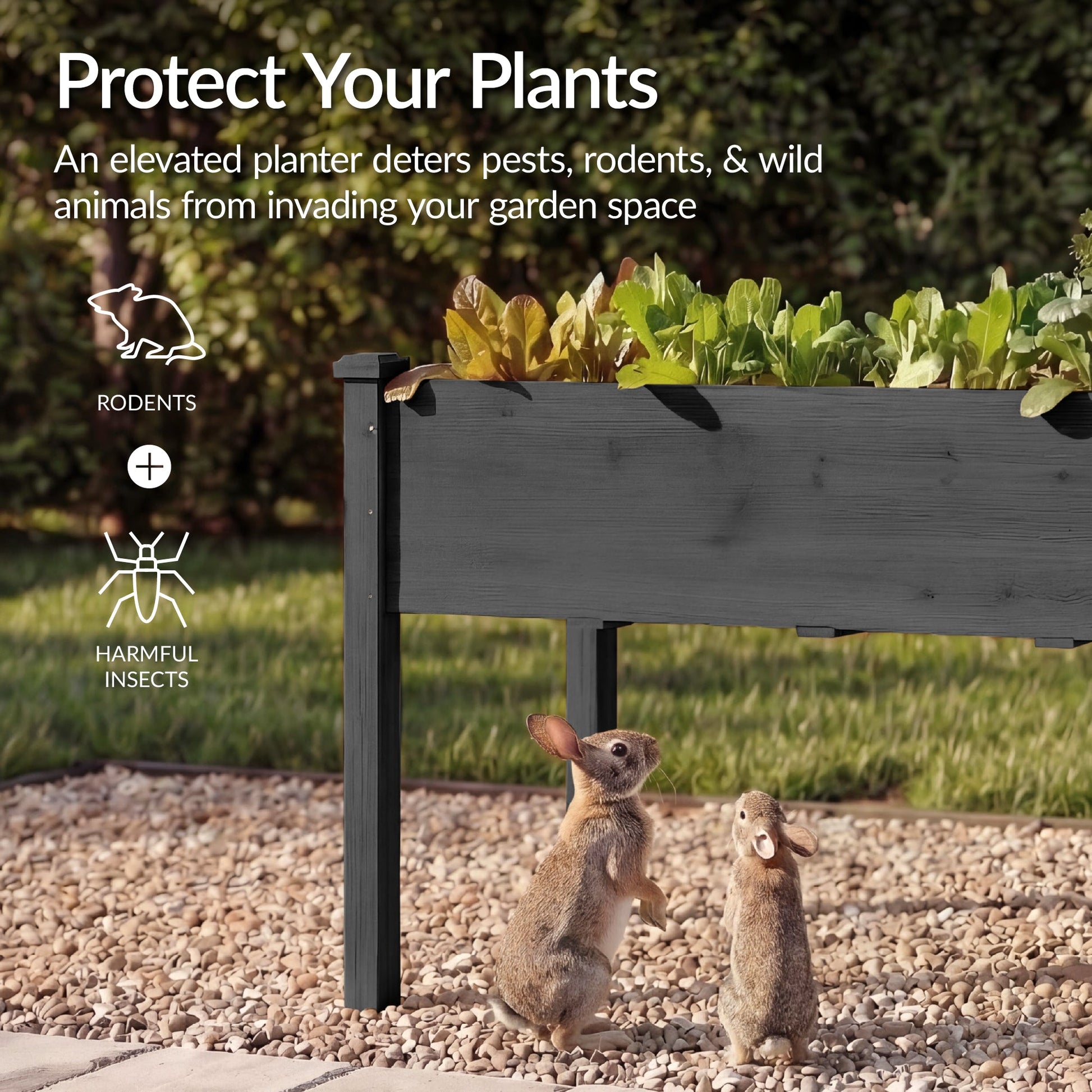 Raised Garden Bed, Elevated Wood Garden Planter Stand - 72x24x30in