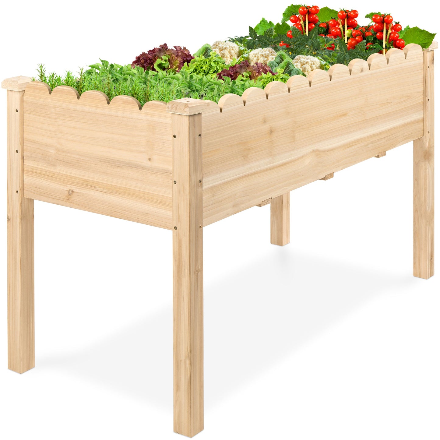 Raised Garden Bed, Scalloped Elevated Wooden Planter Box - 48x24x30in