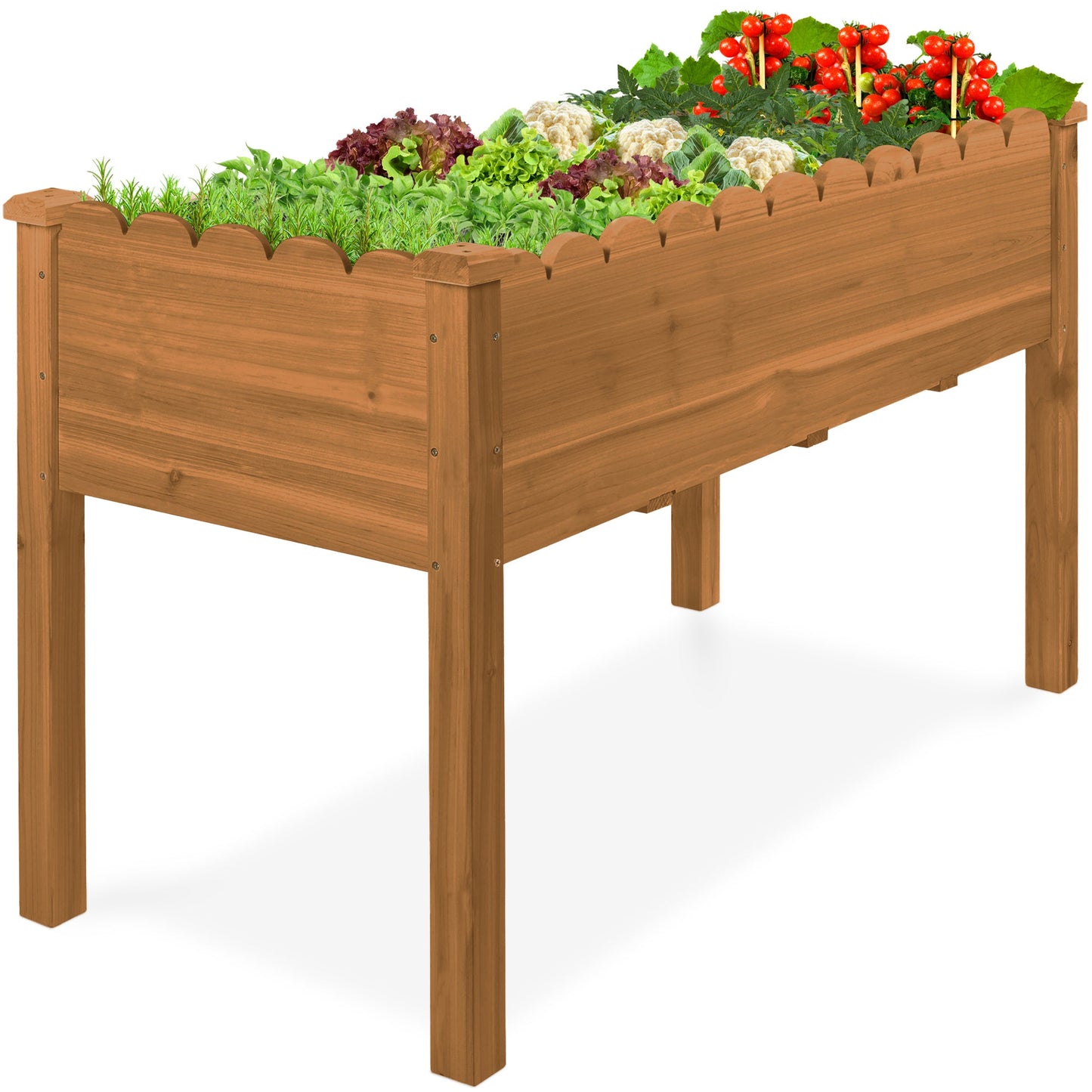 Raised Garden Bed, Scalloped Elevated Wooden Planter Box - 48x24x30in