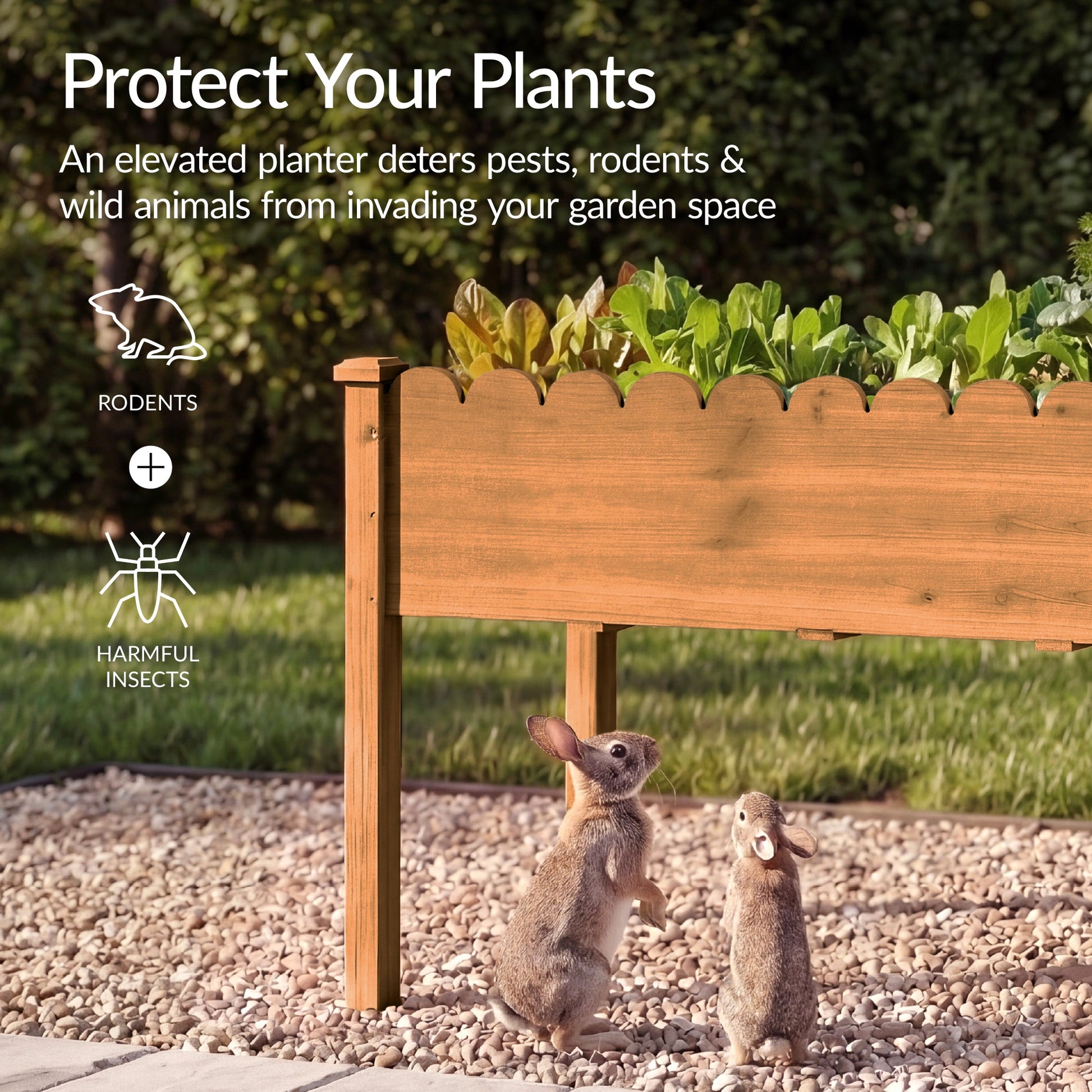 Raised Garden Bed, Scalloped Elevated Wooden Planter Box - 48x24x30in