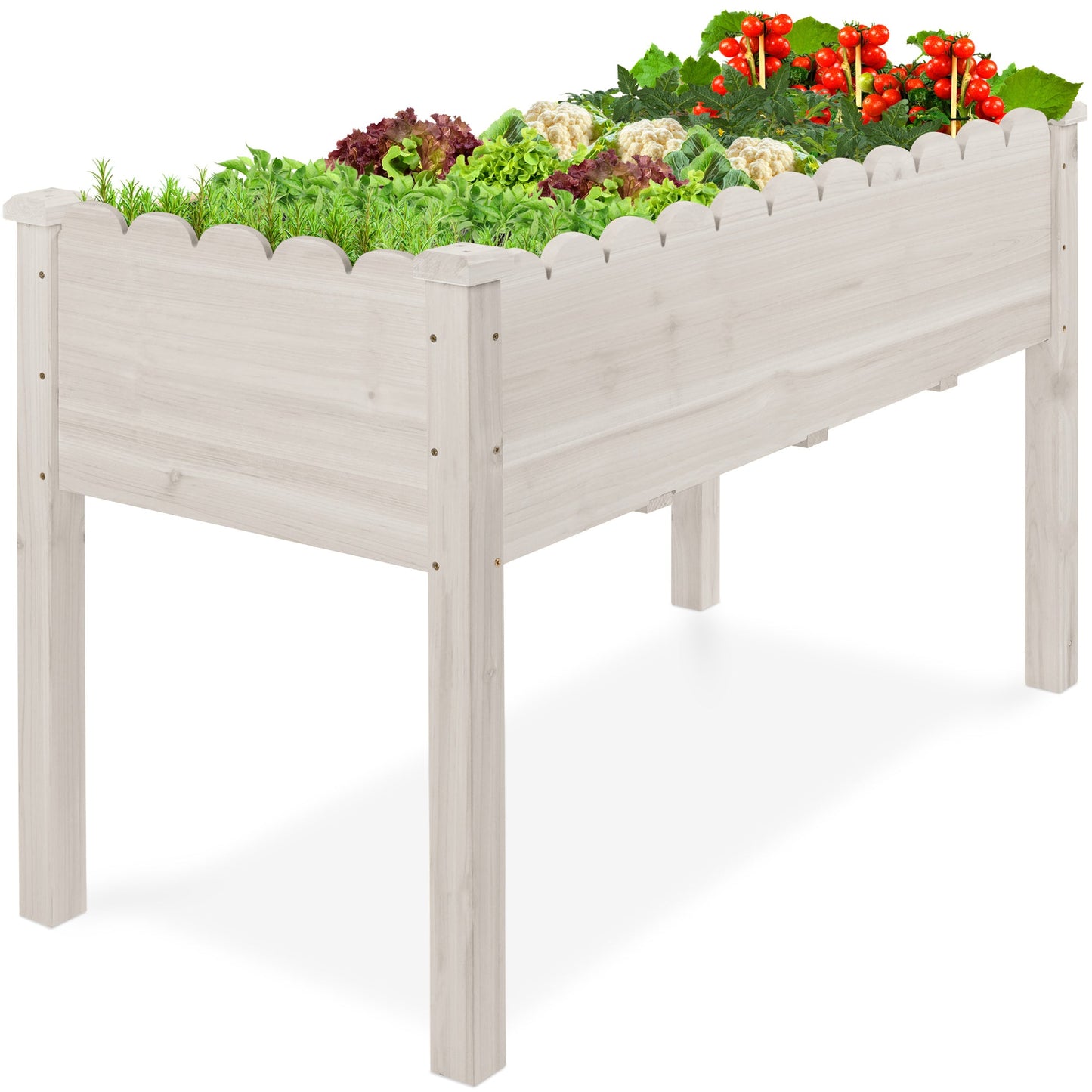 Raised Garden Bed, Scalloped Elevated Wooden Planter Box - 48x24x30in