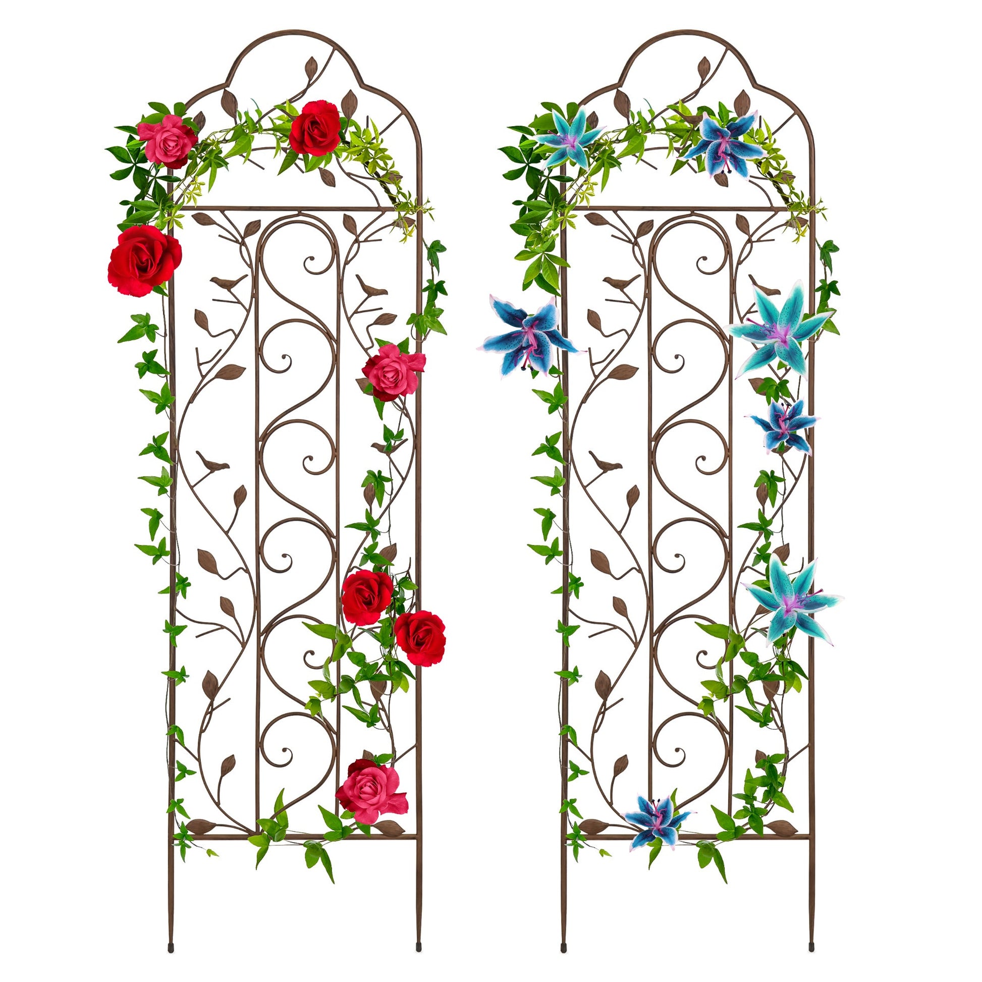 Set of 2 Iron Arched Garden Trellis