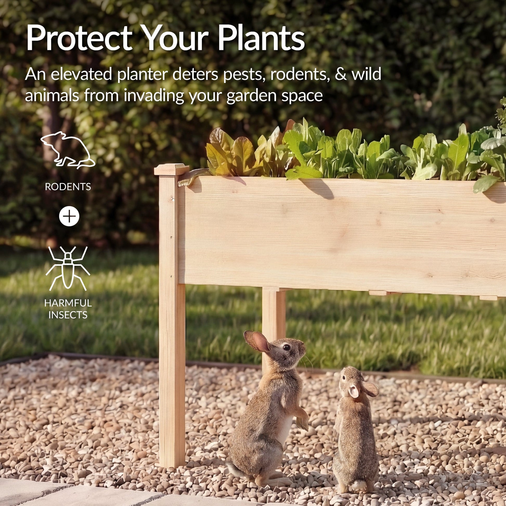 Raised Garden Bed, Elevated Wood Garden Planter Stand - 72x24x30in