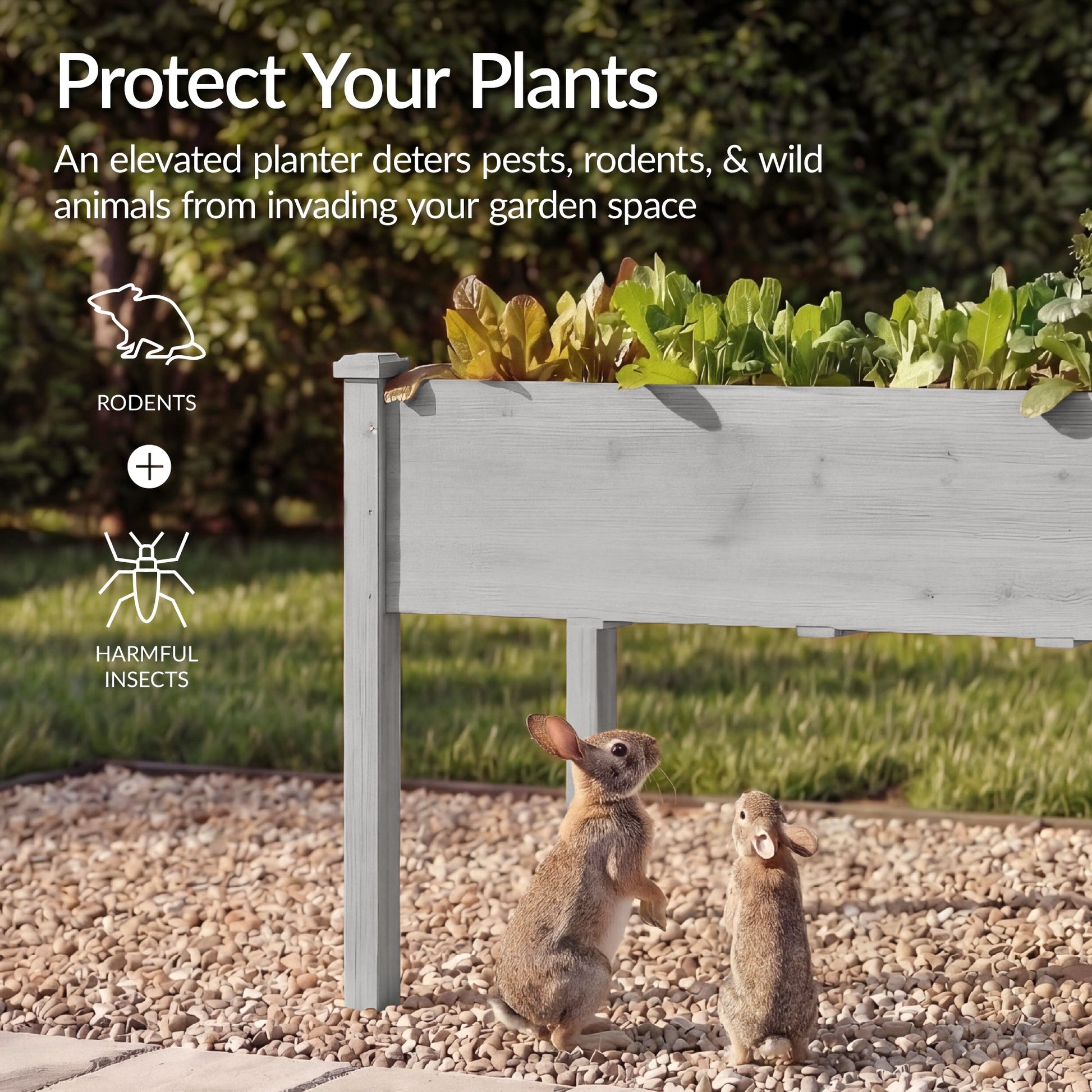 Raised Garden Bed, Elevated Wood Garden Planter Stand - 72x24x30in