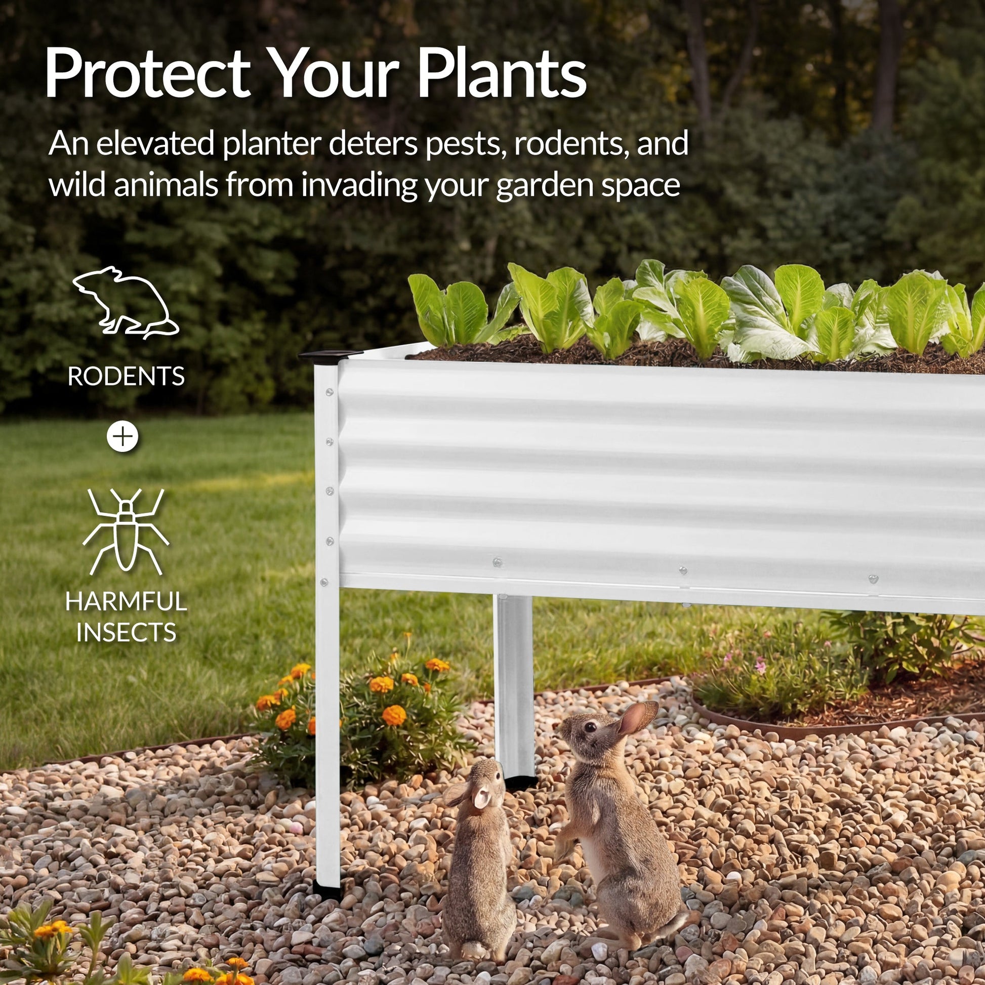 Elevated Galvanized Metal Garden Bed w/ Corner Protectors - 48x24x30in